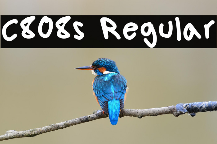 C808s Regular Example 1