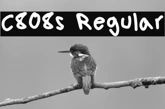 C808s Regular 字体 examples