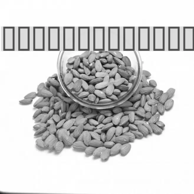 C9 फ़ॉन्ट examples