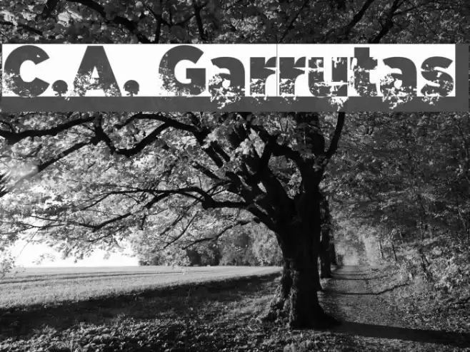 C.A. Garrutas Font examples
