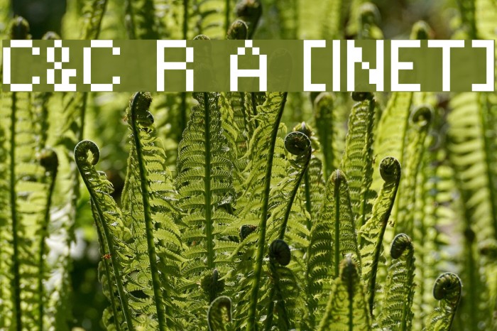 C&C Red Alert [INET] Font examples