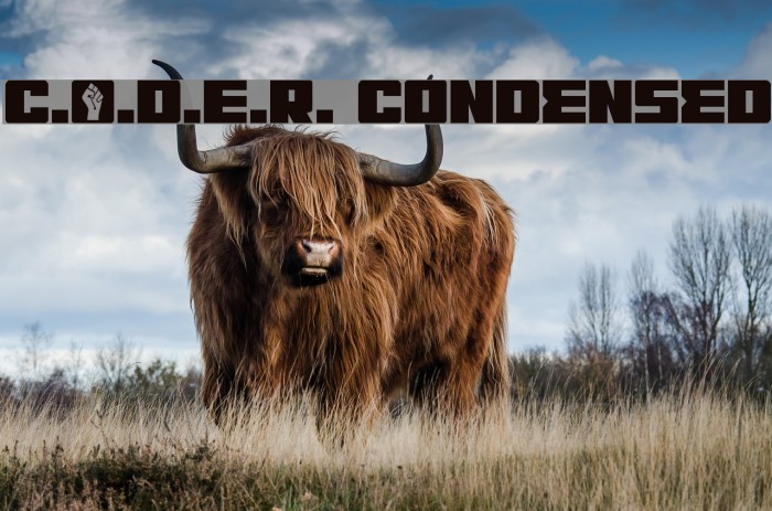 C.O.D.E.R. Condensed Font examples