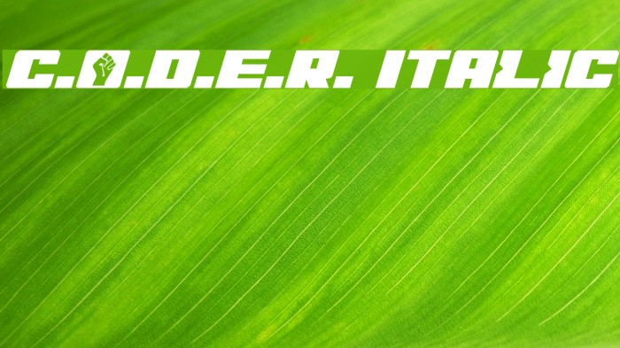 C.O.D.E.R. Italic Font examples