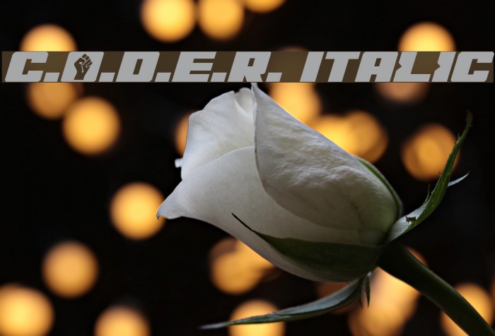 C.O.D.E.R. Italic Font examples