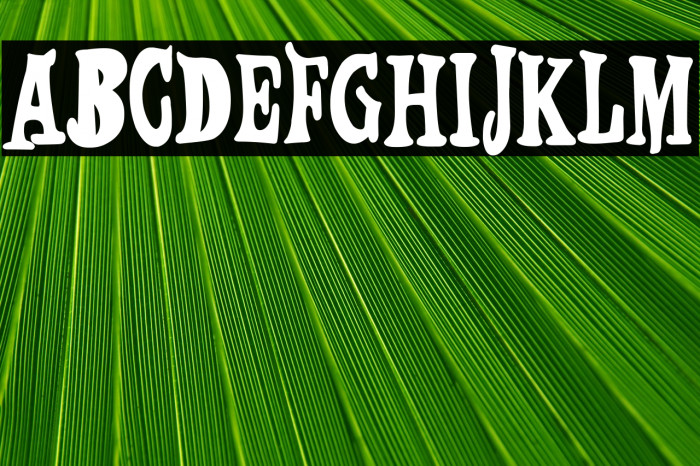 Código Secreto Example 3