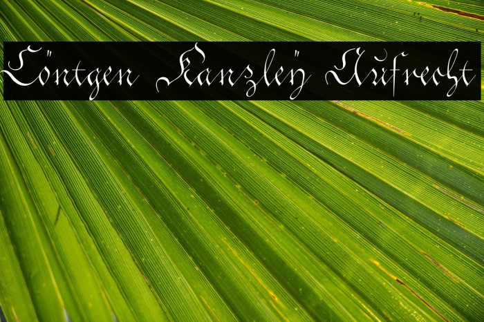 Cöntgen Kanzley Aufrecht Font examples