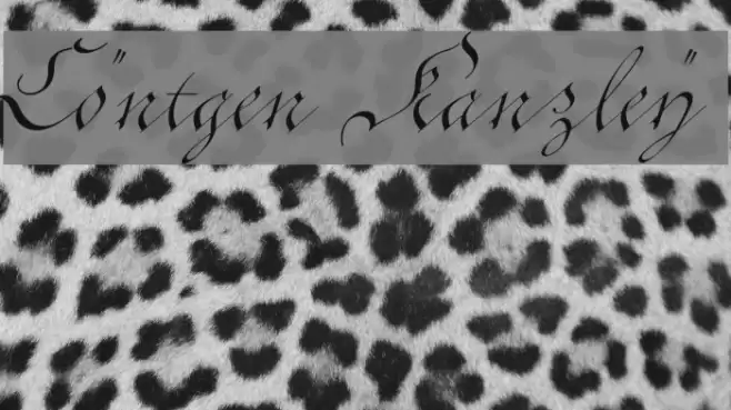 Cöntgen Kanzley Font examples