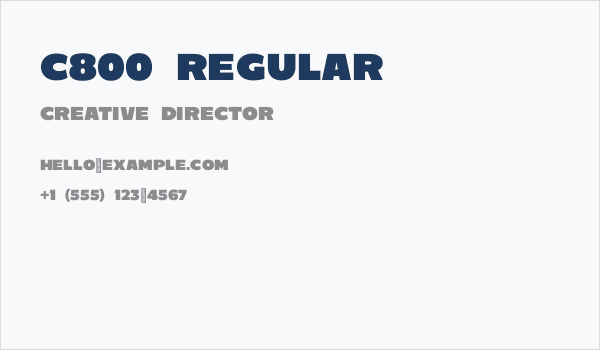 C800 Regular Business Card