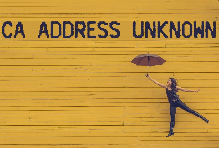 CA Address Unknown Font examples