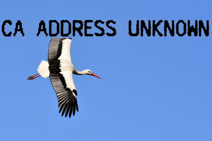 CA Address Unknown Font examples
