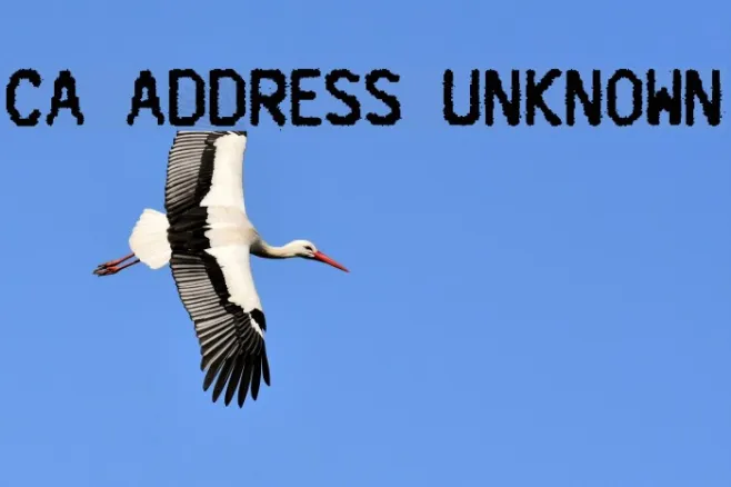 CA Address Unknown Example 3