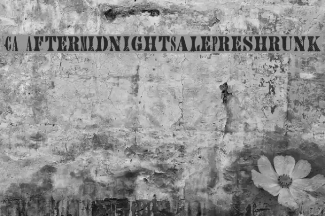 CA AfterMidnightSalePreshrunk フォント examples