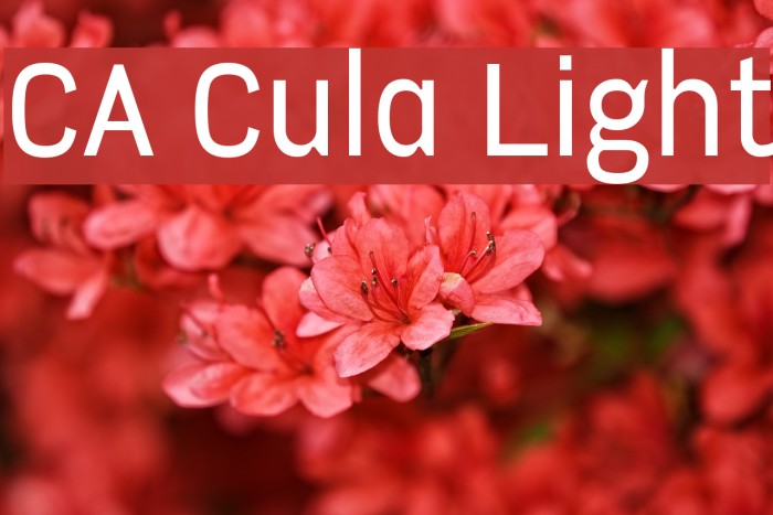 CA Cula Light Font examples