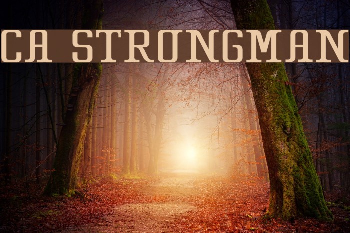 CA Strongman Font examples