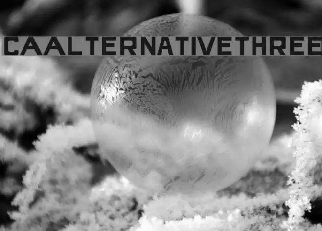 CAAlternativeThree Font examples