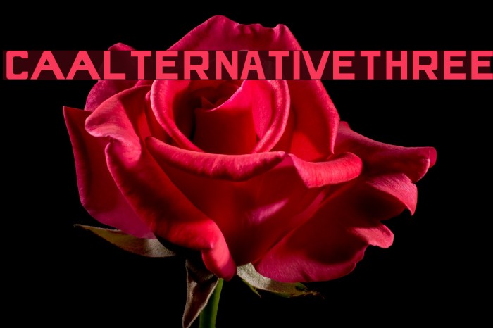 CAAlternativeThree Font examples