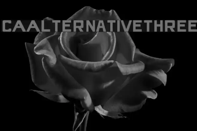 CAAlternativeThree Font examples