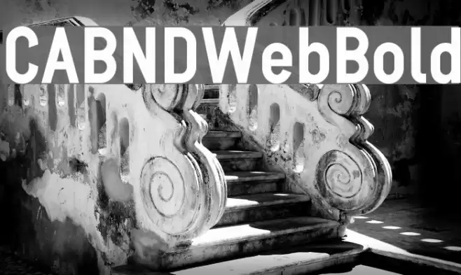 CABNDWebBold Font examples