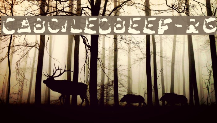 CABoiledBeef-Rg Example 1