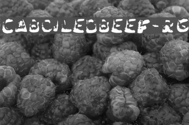 CABoiledBeef-Rg Font examples