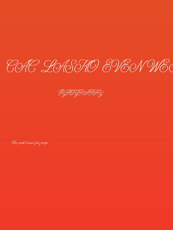 CAC Lasko Even Weight Poster