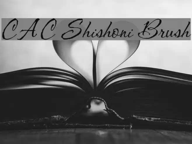 CAC Shishoni Brush Fonte examples
