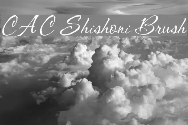 CAC Shishoni Brush Fonte examples