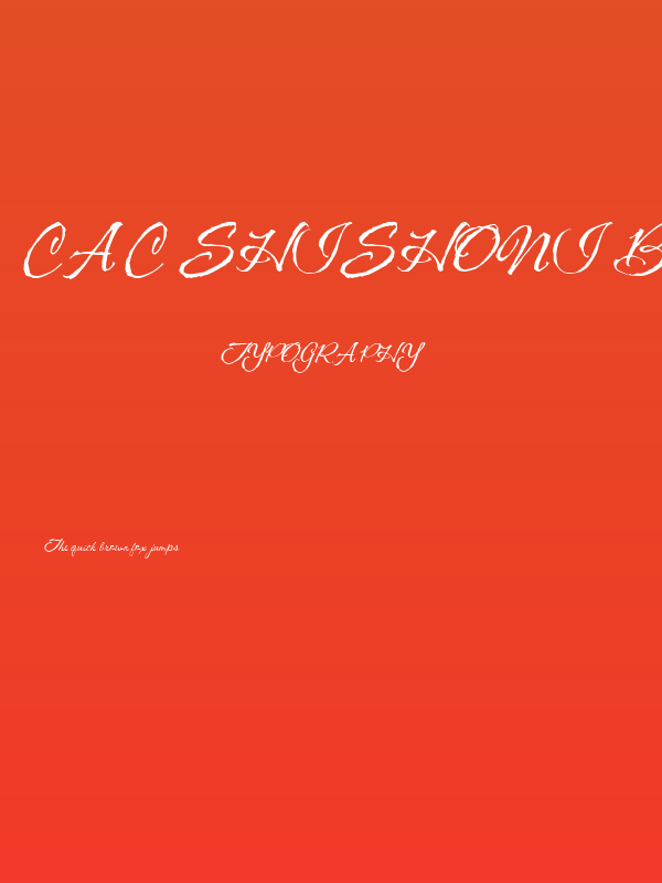 CAC Shishoni Brush Poster