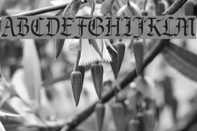 CAC Valiant Font examples