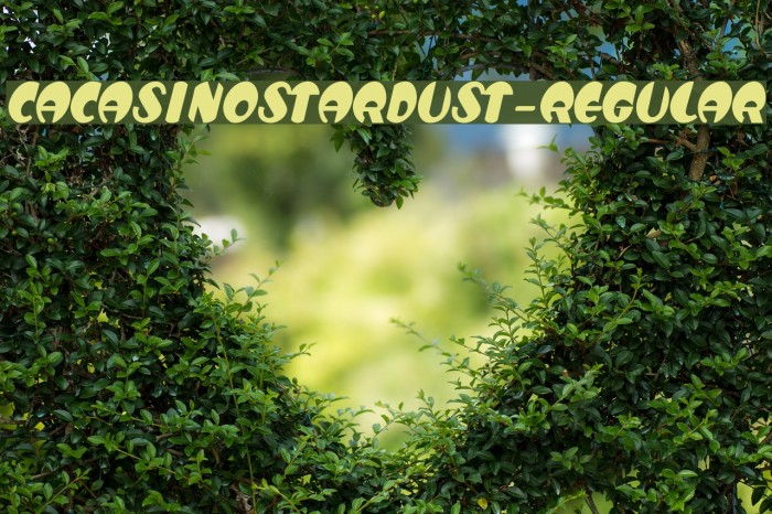 CACasinoStardust-Regular Font examples