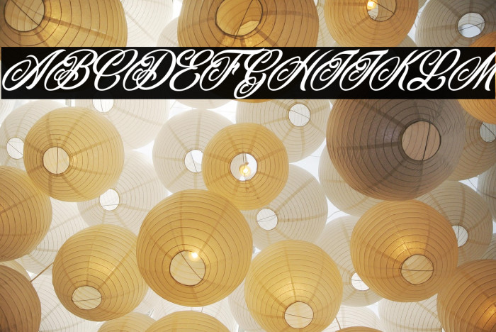 CADILLAC PERSONAL USE Italic Example 1