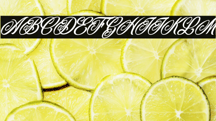 CADILLAC PERSONAL USE Italic Example 2