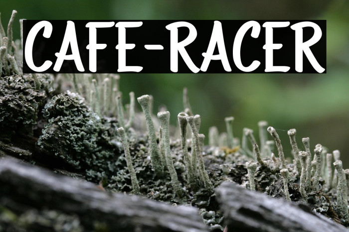 CAFE-RACER Example 2