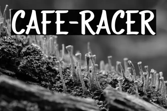 CAFE-RACER Шрифта examples