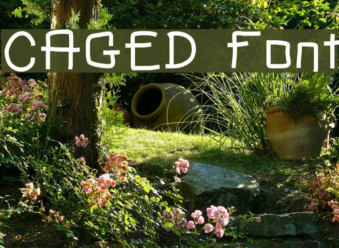 CAGED Font examples