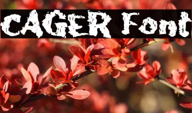 CAGER Example 3