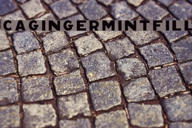 CAGingerMintFill Example 1