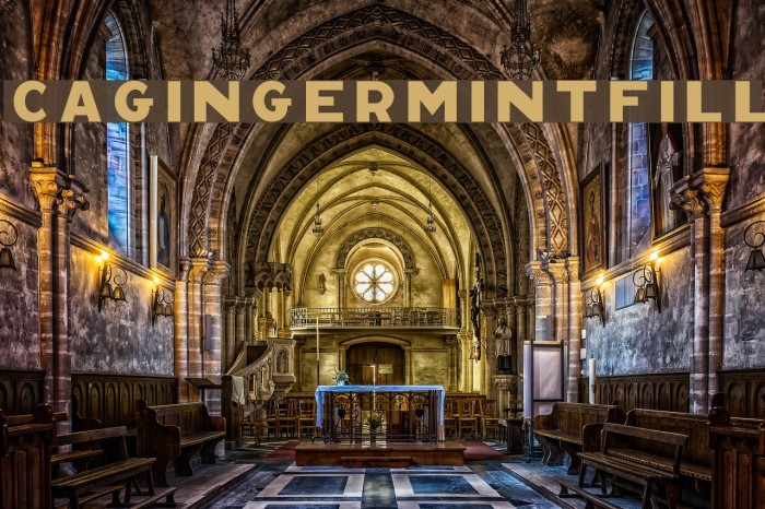 CAGingerMintFill Font examples