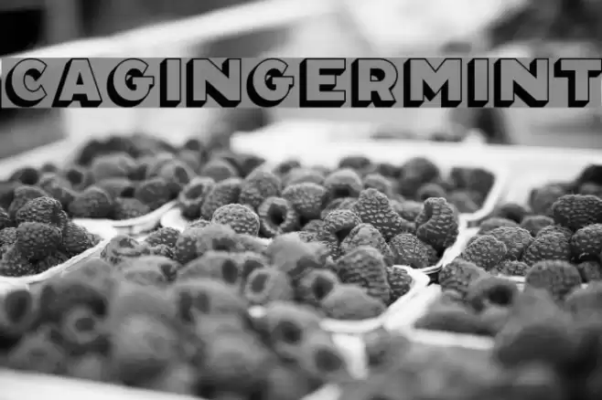 CAGingerMint Font examples