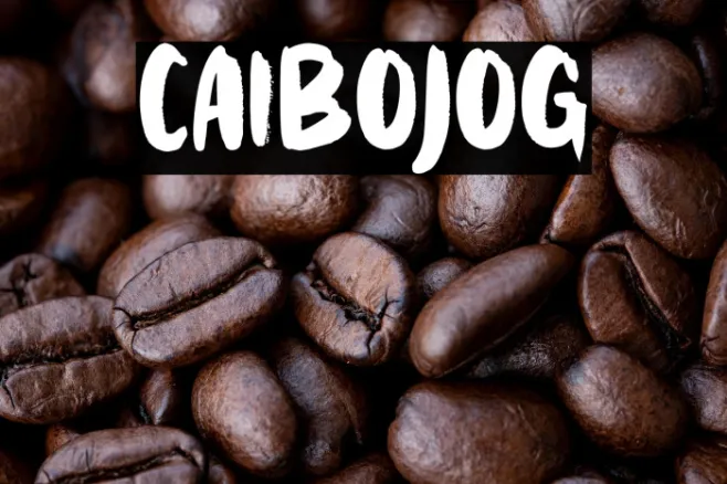 CAIBOJOG Example 1