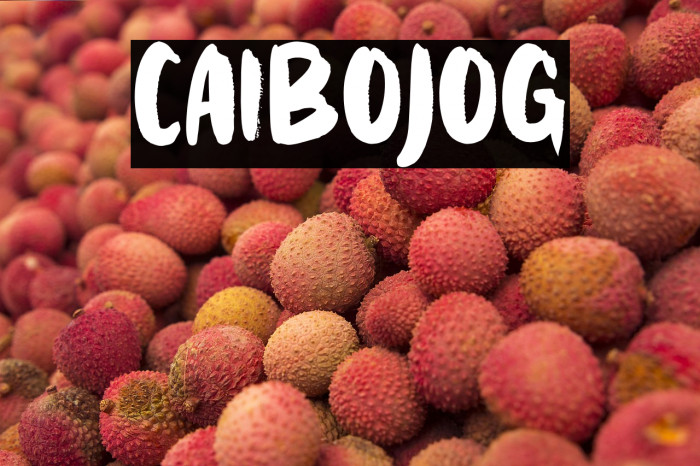 CAIBOJOG Example 2