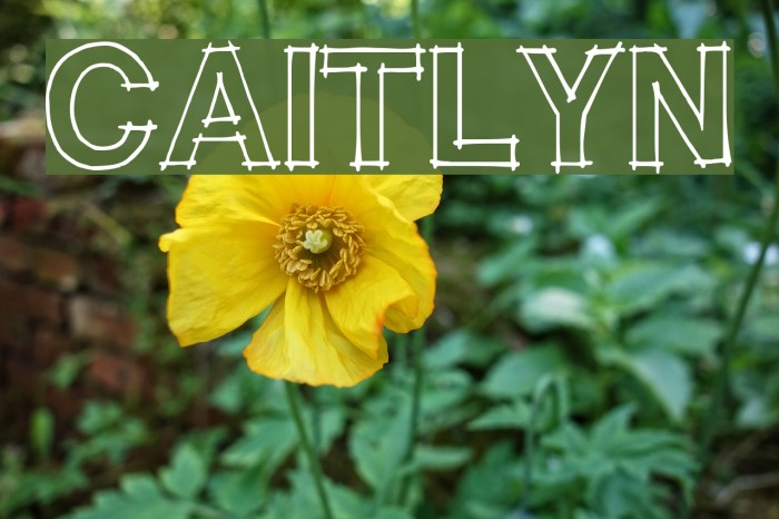 CAITLYN Font examples