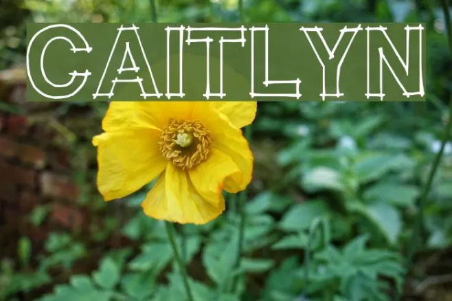 CAITLYN Example 2