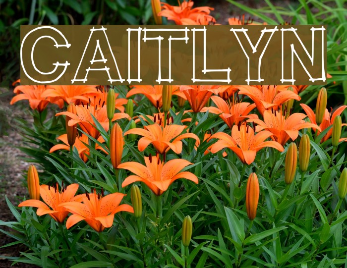 CAITLYN Font examples