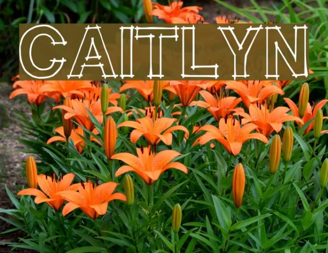 CAITLYN Example 3