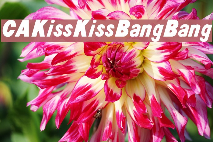 CAKissKissBangBang Font examples