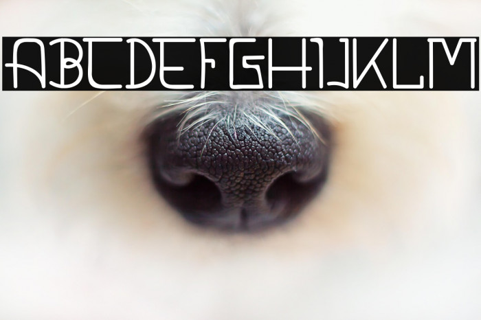 CALDERDALE DEMO Light Example 2