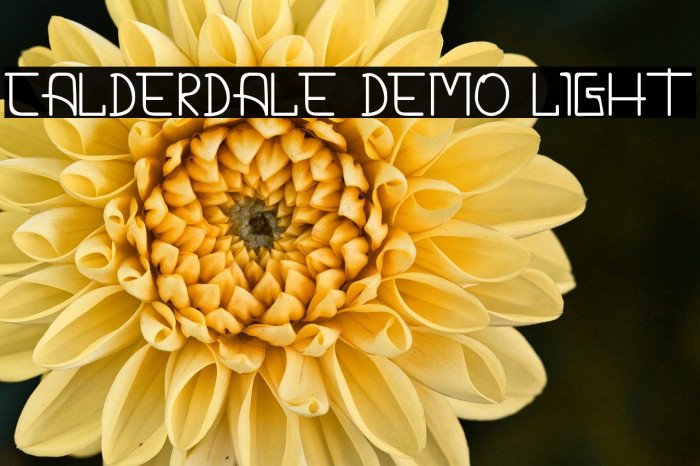 CALDERDALE DEMO Light Example 1