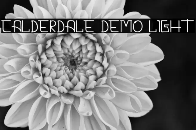CALDERDALE DEMO Light Font examples