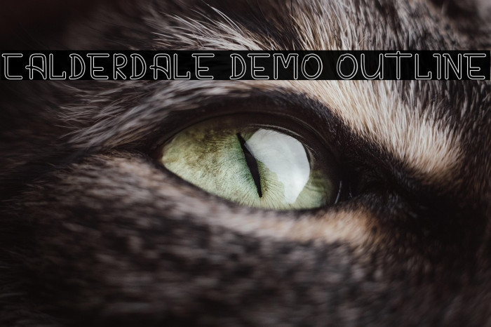 CALDERDALE DEMO Outline Example 1